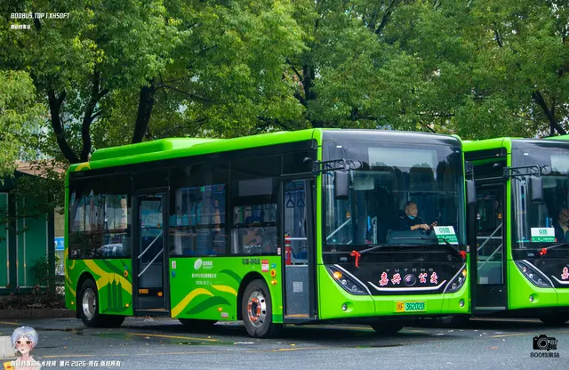 800BUS
