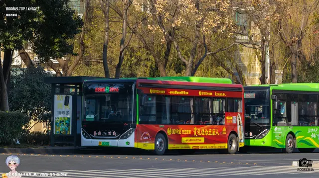 800BUS