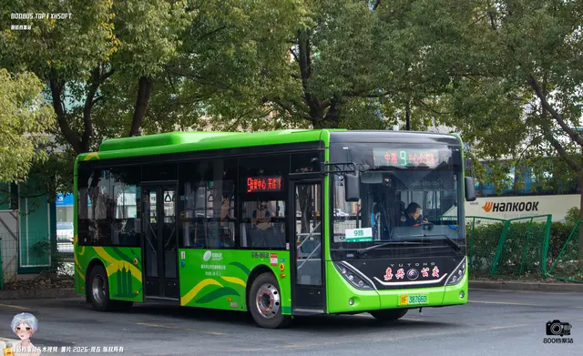 800BUS