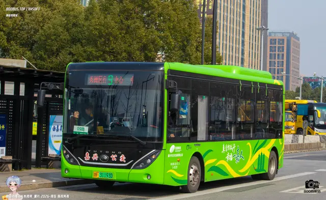 800BUS