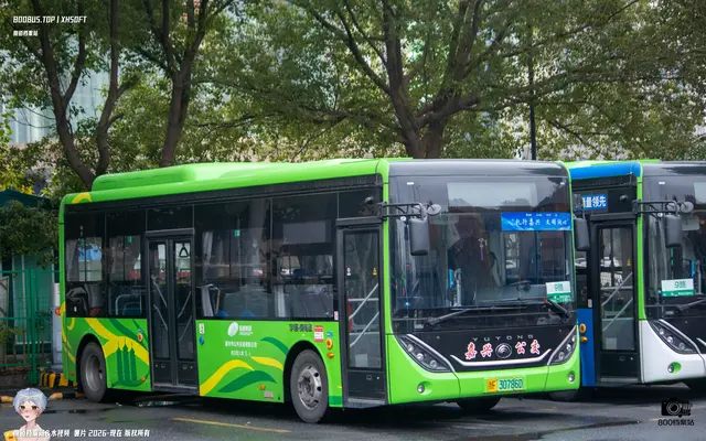 800BUS
