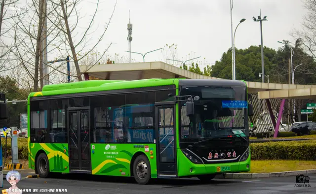 800BUS