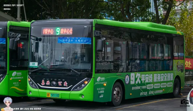 800BUS