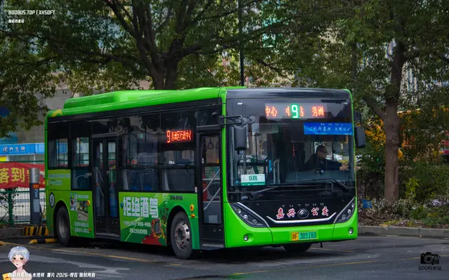 800BUS