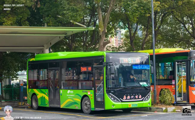 800BUS