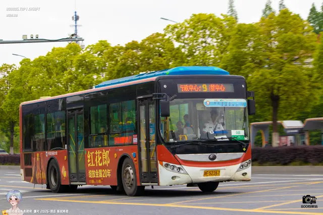 800BUS
