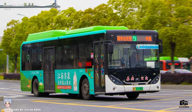 800BUS