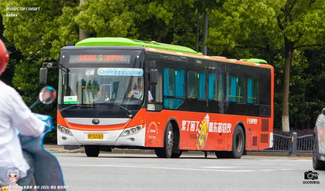 800BUS