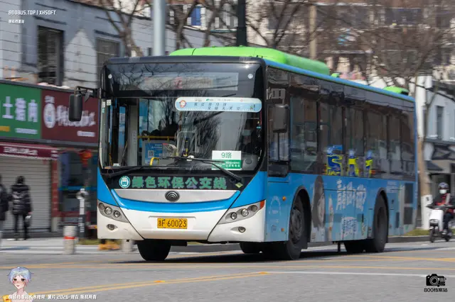 800BUS