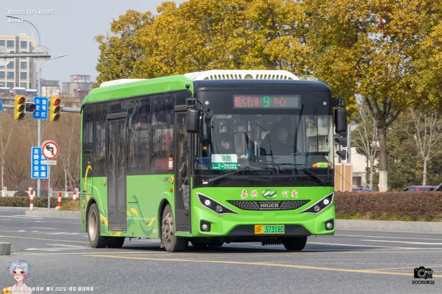 800BUS