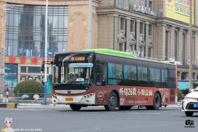 800BUS