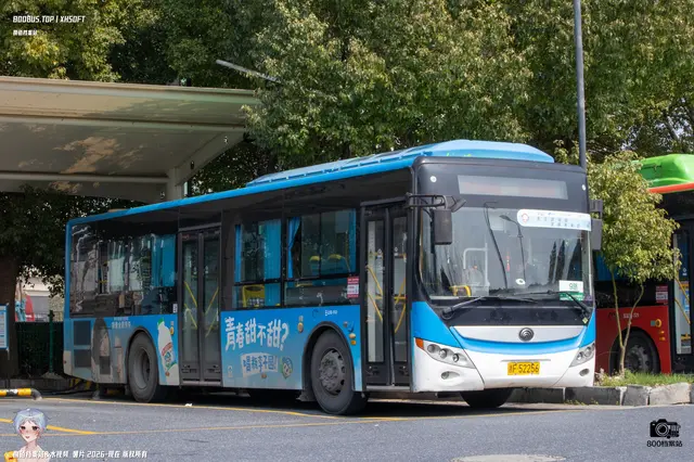 800BUS