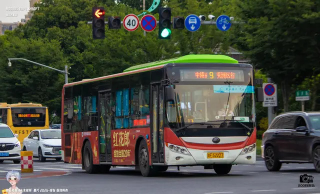 800BUS