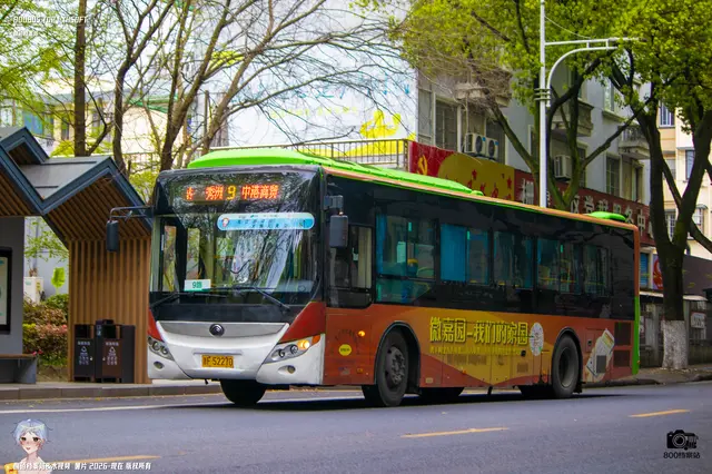800BUS