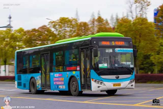 800BUS