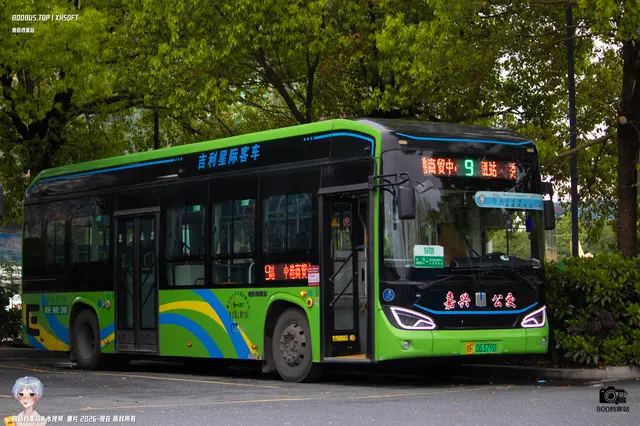 800BUS