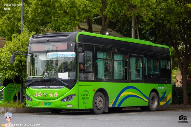 800BUS