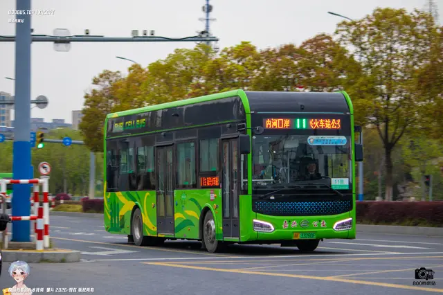 800BUS