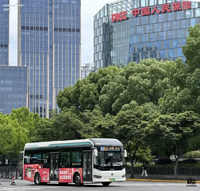 800BUS