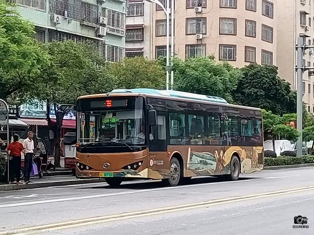 800BUS