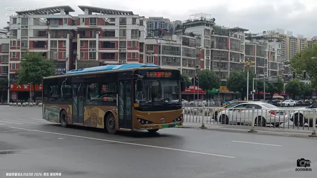 800BUS