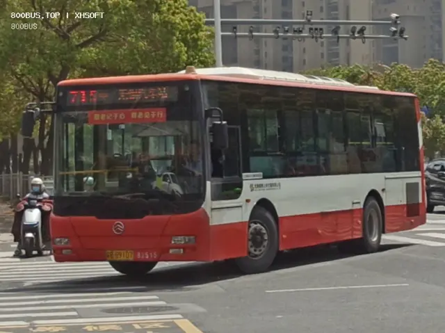 800BUS