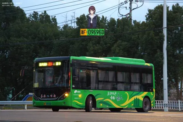 800BUS