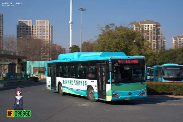 800BUS