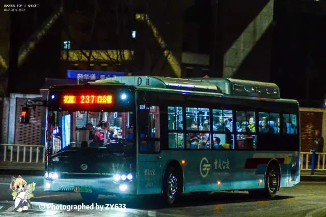 渝A 03672D