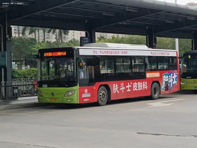 800BUS