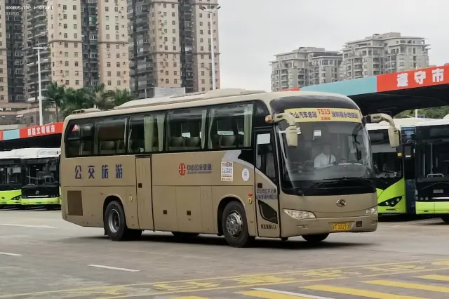 800BUS