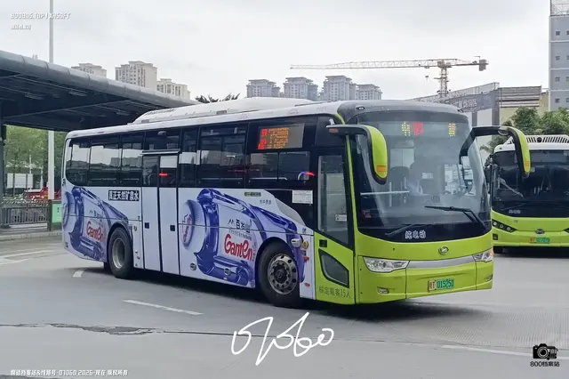 800BUS