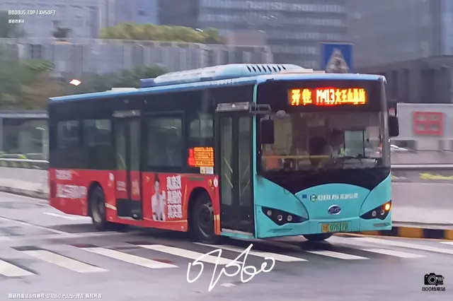 800BUS