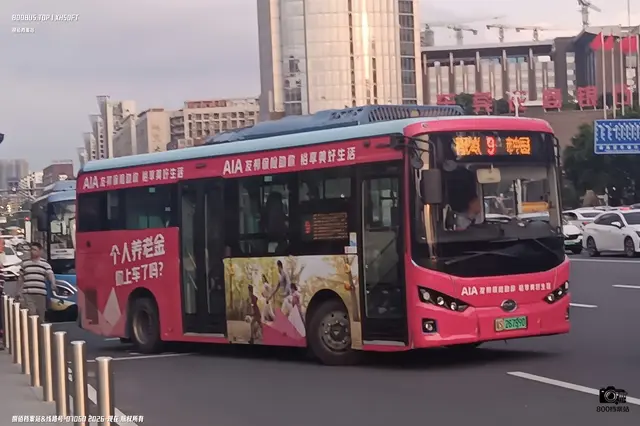800BUS
