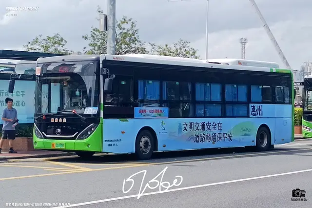 800BUS