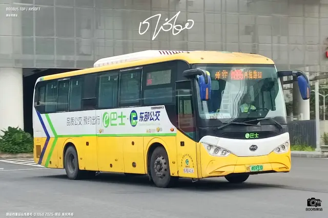 800BUS