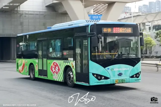 800BUS