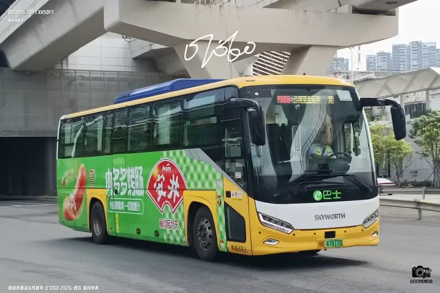 800BUS