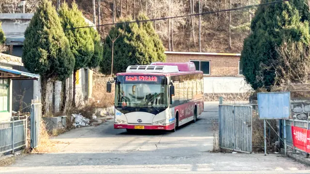 800BUS