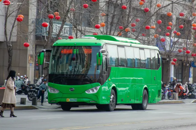 800BUS