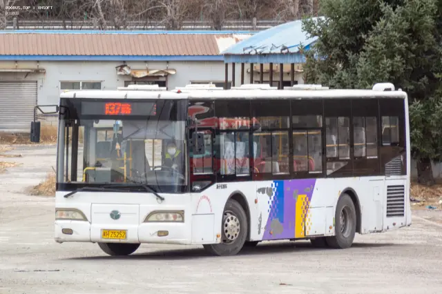 800BUS