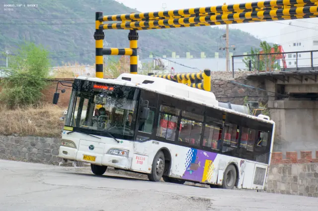 800BUS