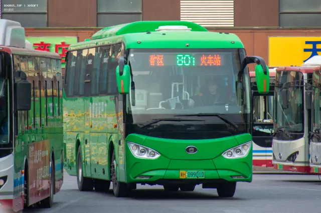 800BUS