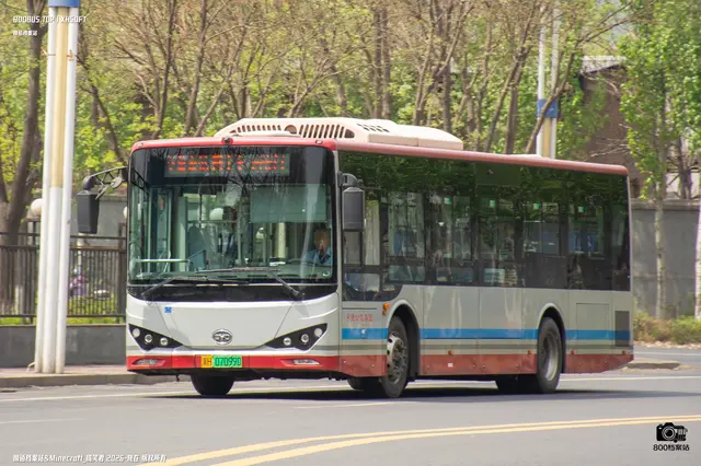 800BUS