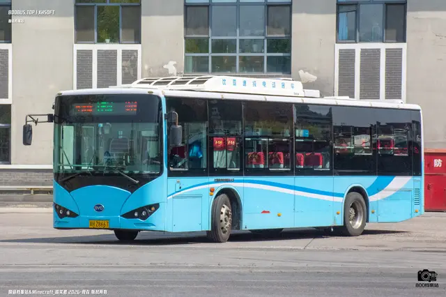 800BUS