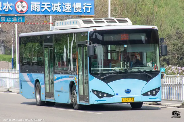 800BUS