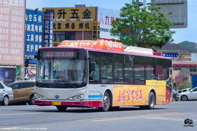 800BUS