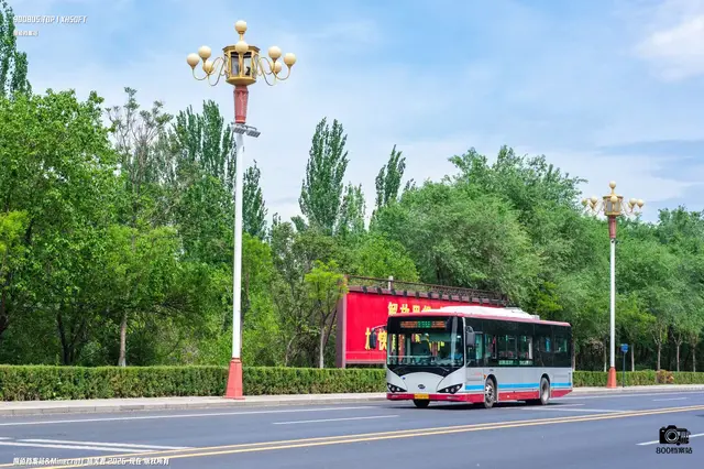 800BUS