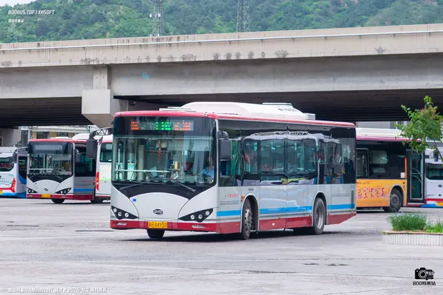 800BUS
