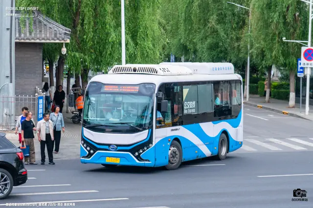 800BUS